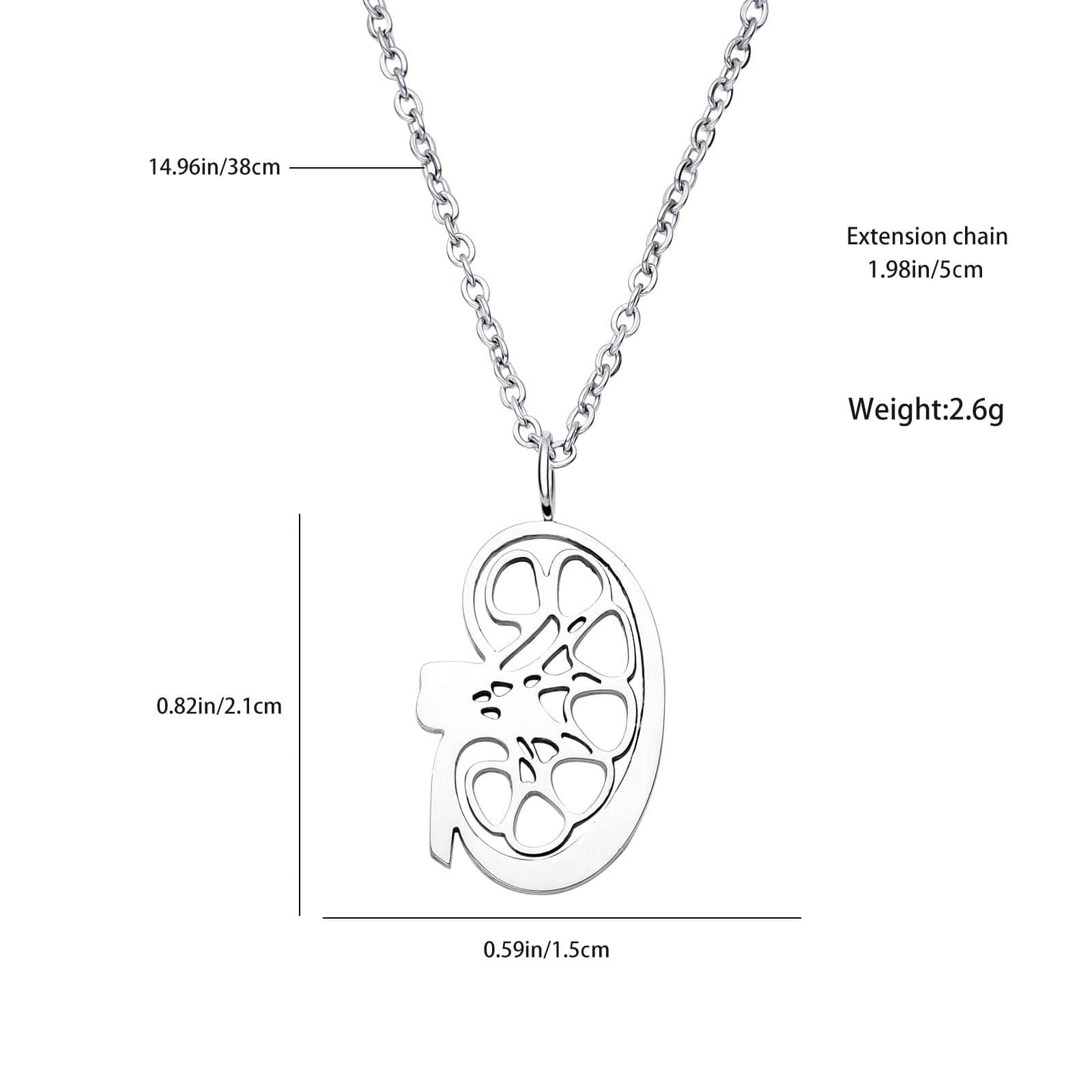 Doctors Nurses Kidney Medical Pendant Necklace Silver Plated Simple Medicine Anatomy Human Organ Jewelry Necklace - Thumbedtreats