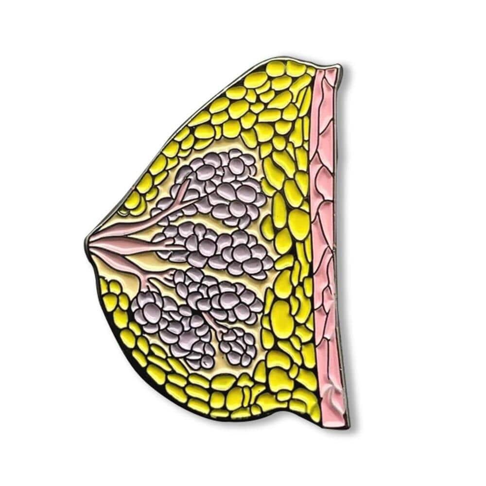 All Anatomy Brooch Enamel Lapel Pins Medical Jewelry Badge Biology Gift for Doctor Nurse Medical Student - Thumbedtreats