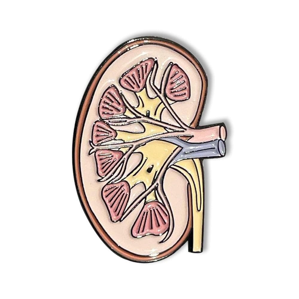 All Anatomy Brooch Enamel Lapel Pins Medical Jewelry Badge Biology Gift for Doctor Nurse Medical Student