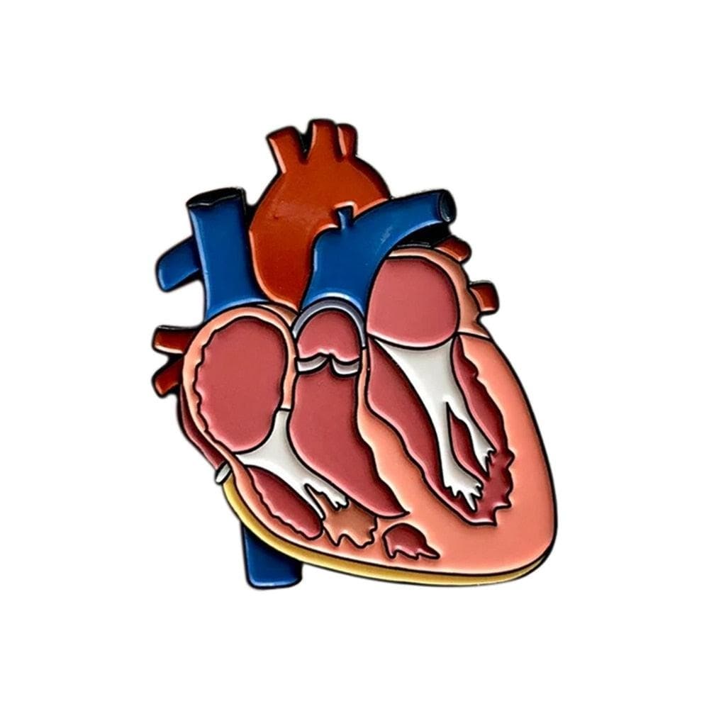 Colorful Anatomy Heart Organ Brooch Medical Enamel Lapel Backpack Badge Pins Jewelry Gift for Doctor Nurse Collection - Thumbedtreats