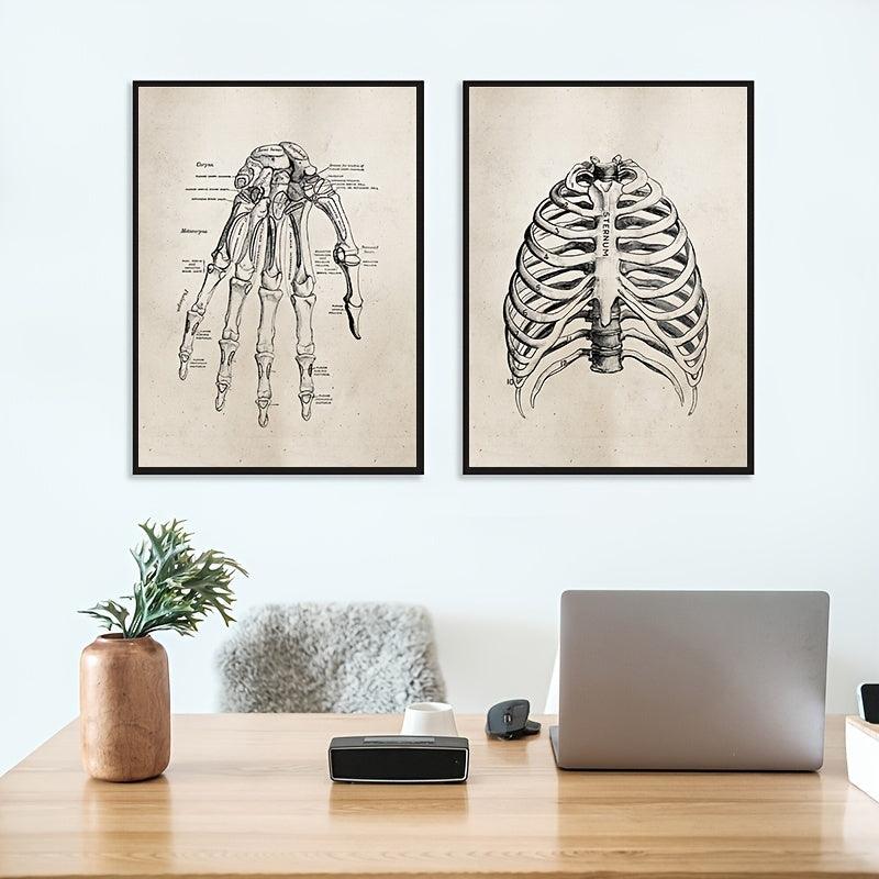 Vintage Human Anatomy Science Wall Art - Thumbedtreats